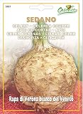 野菜の種 セルリアック・ヴェネト