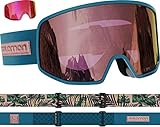 SALOMON(サロモン) スキー スノーボード ゴーグル LO FI SIGMA +1 LENS(ロフィ シグマ プラス1レンズ) Deep Teal NS L41148000