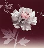 Late Afternoon Jazz / Various