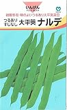 丸種　つるありすじなし大平莢いんげん　ナルデ　20ml