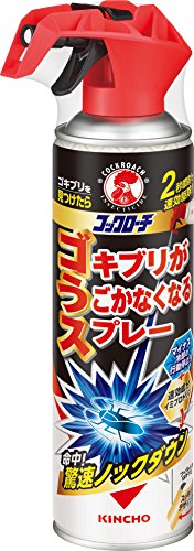 ゴキブリ対策でおすすめのアイテムを紹介 種類や再発防止のコツとは