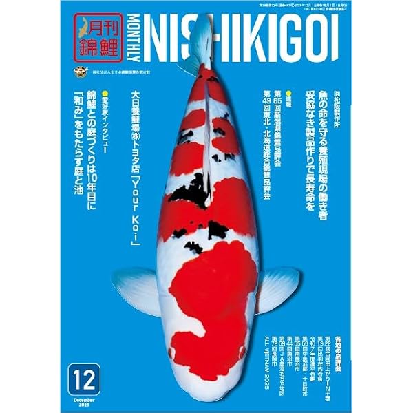 Amazon.co.jp: 錦鯉 : 吉村和敏: 本