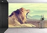 wall26 – 自己粘着壁紙大壁壁画シリーズ 66"x96" WMR-WP-X-D745-66x24x4
