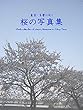 東京・多摩に咲く桜の写真集