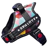 名入れ 犬 ハーネス 小型犬 中型犬 抜けない 胴輪 おしゃれ 【名前入り ネームタグ付】 ステンド柄 反射 反射材 メッシュ 簡単装着 老犬 子犬 シュナウザー パグ inuya 犬屋 (トライアングル, XS)