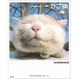 これでいいのだ かご猫ほっこり写真集 Shironeko 本 通販 Amazon