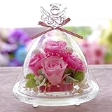 ガラスドーム エンジェル（プレミアムモデル） ピンクグラデーション