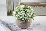 Kooyi 光触媒 インテリア グリーン フェイクグリーン 人工観葉植物 鉢植え (エンゼルの涙, ホワイト)