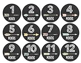 Months In Motion - Baby Month Stickers - Monthly Baby Sticker for Girls - Tribal Arrows (1106) [並行輸入