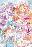 プリキュアカードウエハース８ No.17 ひろがるスカイ！プリキュア