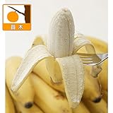 モンキーバナナ3.5号ポット[鉢栽培で収穫できるおいしい小型バナナ] ノーブランド品