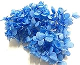 田中実業 あじさい プリザーブドフラワー マカロン ブルー W7.8×D5.0×H11.6cm ハーバリウム ZA-512