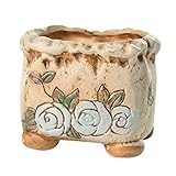 2つの小さなガーデンポットのセット創造的なポットポット多肉植物のポット[H]