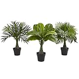 ほぼ自然Mini Areca ARC、噴水とバナナPalm Trees (セットof 3 )