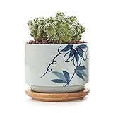 T4U 7.5CM 陶器鉢 和風シリーズNo.4 菊 多肉植物 サボテン鉢 フラワーポット プランター容器 バンブートレイ付き