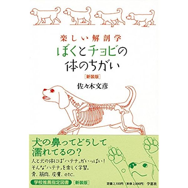 楽しい解剖学 ぼくとチョビの体のちがい 佐々木 文彦 本 通販 Amazon