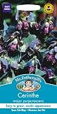 【輸入種子】 Mr.Fothergill's Seeds Cerinthe major purpurascens セリンセ・メジャー・プルプラセンス ミスター・フォザーギルズシード