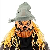 EnergyPower ハロウィン・パーティー用マスク カボチャゾンビ ジャック・オー・ランタン 髪の毛と帽子がついた超リアルマスク 怖いです！ パンプキン 悪魔 宇宙人 サタン デーモン ウィッグ お面 仮面 かぶりもの cosplay 変身 変装 Halloweenグッズ ジャックオーランタン コスプレ衣装 フルフェイス クリスマス 仮装大会 学園祭 文化祭 イベント お化け屋敷 お祭り 妖怪 モンスター 怪物 ホラー ジョークアイテム