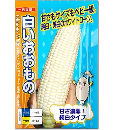 トウモロコシ　SABATON 3枚 ナント種苗 スイートコーン おおもの83（早生 大型スーパースイート