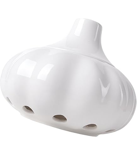 Amazon｜カンダ テラコッタ ガーリックセラー L 陶器 日本 RYO1102