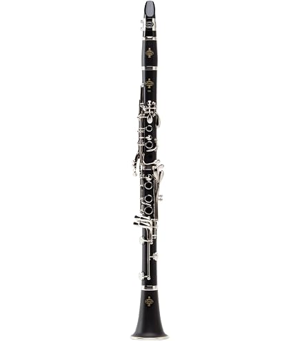 Amazon | Buffet Crampon E12 F B♭ クラリネット バックパック