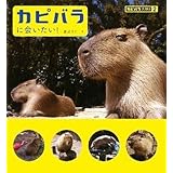 カピバラに会いたい! カピバラ大好き2