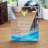 【名入れ】クリスタル 表彰盾 DP-17 トロフィー 背面カット 記念品 周年記念 社内表彰 感謝状 (大)