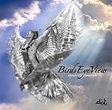 BIRDS EYE VIEW