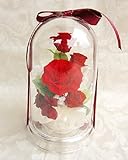 ドームアレンジ ローズガーデン 赤いバラ プリザーブドフラワー