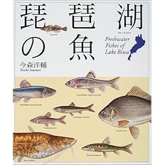 琵琶湖の魚 今森 洋輔 本 通販 Amazon