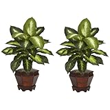 Nearly Natural 6712-GD-S2 Dieffenbachia with Wood Vase Decorative Silk Plant, Golden, Set of 2 by Ne