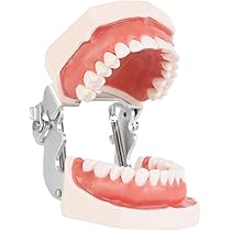 51WS5WUMBmL._AC_UL210_SR210,