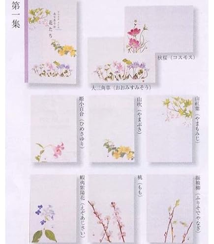 Amazon.co.jp: 直筆サイン入り 佐藤輝明選手 阪神タイガース