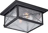 Nuvo Lighting 60/5626 Wingate Flush 2 Light 60-watt A19 Outdoor Close to Ceiling Porch and Patio Lig