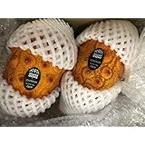 トロピカルフルーツセット　５品目入　アソート可　珍品系フルーツ