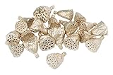 大地農園 ドライフラワー ミニハス 約4cm(15コ入り) DO022411-930