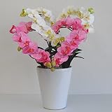 ハートの胡蝶蘭 光触媒 造花 アートフラワー Sサイズ-ダブルハート H40cm(白とピンク)