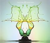 �T���N�`���A�� II