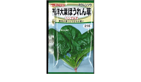 Amazon ﾎｳﾚﾝｿｳ西洋大葉ほうれん草ﾊﾝﾌﾞﾙｸﾞ Diy 工具 ガーデン