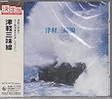 �L���O�E�x�X�g�E�Z���N�g�E���C�u�����[2005 �Ìy�O����