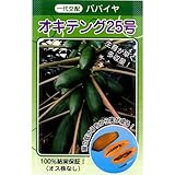 パパイヤ 種 【 オキテング25号 】 種子 小袋（約15粒）