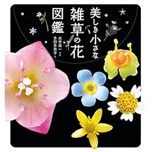 美しき小さな雑草の花図鑑 美しき小さな雑草の花図鑑