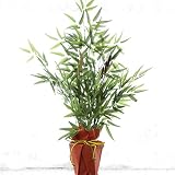 山久 七夕の願い事飾りに 「笹竹の鉢植え」 （サイズ95cm） CT触媒加工 0906-7857-ing【造花】【シルクフラワー】