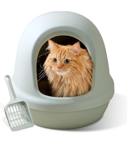 Amazon | Sandqvipa 猫用トイレ本体 ドーム型 (グレー) | sandqvipa