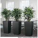 レチューザプランター：キュービコ30チャコール潅水装置付[鉢] ノーブランド品