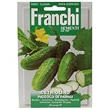 野菜の種 ミニキュウリ PICCOLO DI PARIGI 38/2