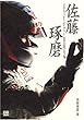 佐藤琢磨2004F1ダイアリー―GO FOR IT!〈3〉 (CG books)