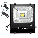 LED投光器 作業灯　フラッドライト IP66完全防水 家庭電源でもOK　　屋外照明　ガーデン照明　昼光色　スイッチ付き　2Mコード　18ヶ月保証 (30W)