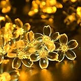 Coomatec LED50球 ソーラーイルミネーションライト ガーデンライト ウォーム 光センサー内蔵　2つ発光モード クリスマス、新年、結婚式、パーティーなどの祝日用 SS-50B