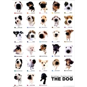 THE DOG / コレクション [ポスター]